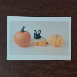 ポストカード(かわいいウサギ)