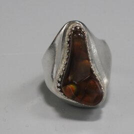 縞ではなく島のよう。