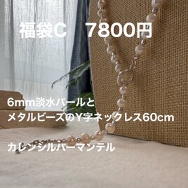 Happy bag  C  2026  【ブレスレット＆ピアスプレゼント】