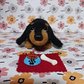 羊毛フェルト上目遣いのダックス　餌皿・ホネセット