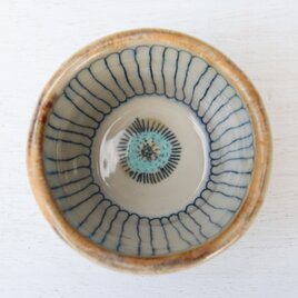 ヒメジョンの小鉢