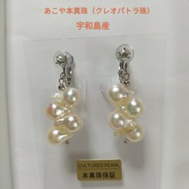 宇和島産あこや本真珠（クレオパトラ珠）のネジバネ式イヤリング