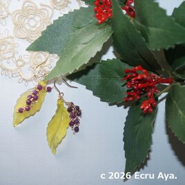 *福をなす*新春にふさわしい南天をイメージしたピアス