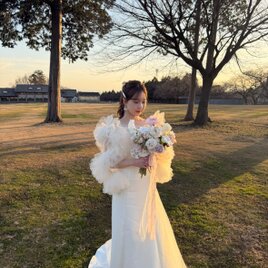 実例写真！ウェディングドレス トップス+キャミソール パール アイボリー 優雅なシルエット 前撮り