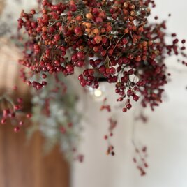 野薔薇の実のランプシェード