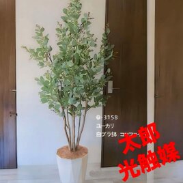 光触媒　人工観葉植物　ウォールグリーン　フェイクグリーン　ユーカリptw@gj