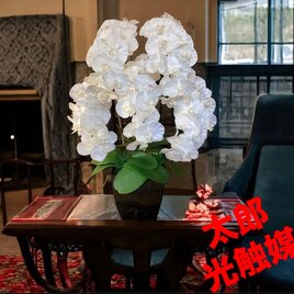 光触媒　人工観葉植物　ウォールグリーン　フェイクグリーン　お供え花胡蝶蘭806