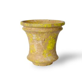 パルバコステリッチオ / M / 現代色（鉢・プランター）