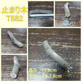 止まり木（枝：TOY-08-015）T582