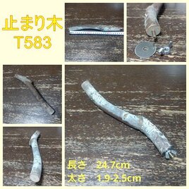 止まり木（枝：TOY-08-015）T583