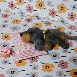 羊毛フェルト　　ダッブル系ダックスフンド　ケーキクッション付き