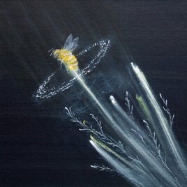 ポストカード２枚セット「ミツバチ」「月光」