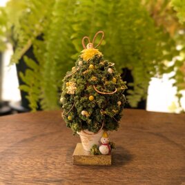 小さなツリー　1