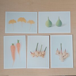 植物ポストカード5枚セット