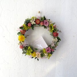 (再販3）Spring  Wreath（風の通り道）