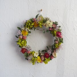 (再販5）Spring  Wreath（風の通り道）