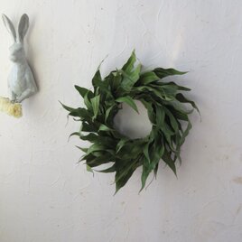 レモンユーカリのリース