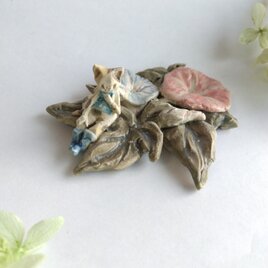 朝顔　ねこ天使　【花といっしょ】