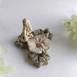 芙蓉　ちびっこ　【花といっしょ】