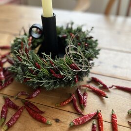 節分の飾りに♩  ~唐辛子とヒイラギ