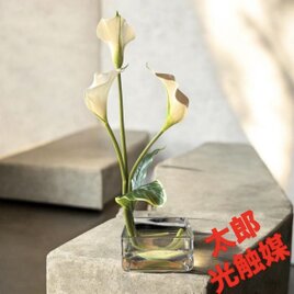 光触媒　人工観葉植物　ウォールグリーン　フェイクグリーン　マジカルウォーター　カラー