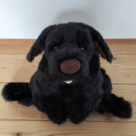 感動する抱き心地。重さ約3400g、命の重みを感じる犬のぬいぐるみ・クロラン（黒）
