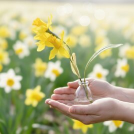 【季節の花】水仙の一輪挿し　枯れない花