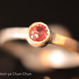 【小鳥屋評価5/5！！！】チャンタブリーで出会った「神」C.C.ガーネット・シルバーリング【千態万丈】