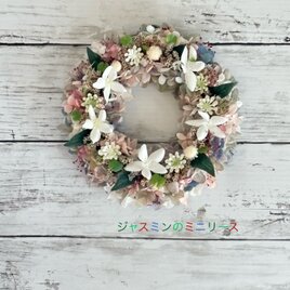 待ちきれない春！ジャスミンのミニリース