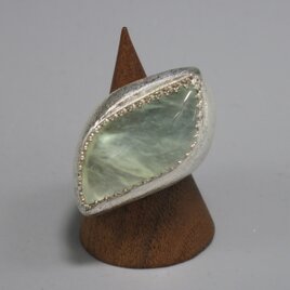 魅力的な曲線美