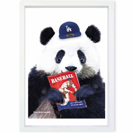 野球に夢中　パンダ　送料無料 　あらゆるお部屋のポスター　イラスト　ポスター　アートポスター　アート/sei検索新着順　3973