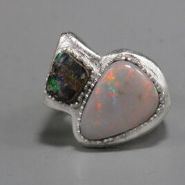 びーちゃんと半月