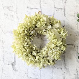 ＊プリザーブドフラワー＊アジサイのリース（ホワイトグリーン）[p20261006]