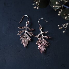 ラベンダーの葉を銅化したピアス