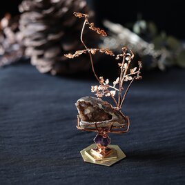 スパイラライトジェムシェルとカニクサ｜花石オブジェ