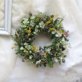 (再販）真珠葉ミモザとオレガノのリース