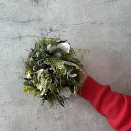 緑を飾る優しいリース