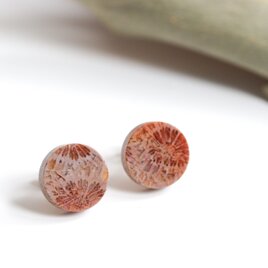 K14｜フォッシルコーラル / 化石珊瑚のスタッドピアス - Terra