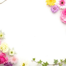 mistyさまご専用