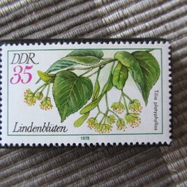 ドイツ　「ナツボダイジュ」切手ブローチ10737