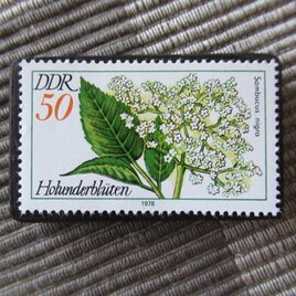 ドイツ　「ニワトコ」切手ブローチ10738