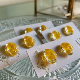 感謝とやさしさを、そっと耳元に。生花ミモザを閉じ込めた一粒レジンイヤリング／ピアス