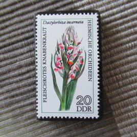 ドイツ　「自生ラン」切手ブローチ10740