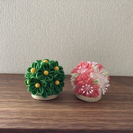 桜橘　（nendodai） 雛飾り　　2026