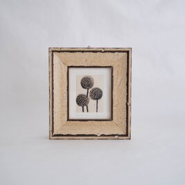 銅版画 "billy buttons"（ミニ額）