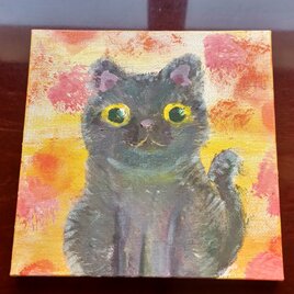 じーと見つめてます