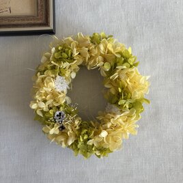 春色リース 黄色
