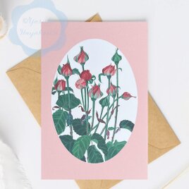 （70）ローズピンクの薔薇のボタニカルポストカード　3枚セット