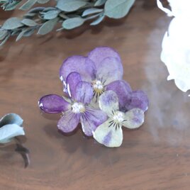 トリプルビオラのブローチ #1295