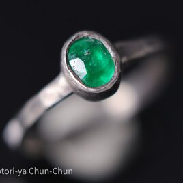 【小鳥屋が探し回って見つけた石】タイアの特注カットパイライトインエメラルド・シルバーリング【銀翠】